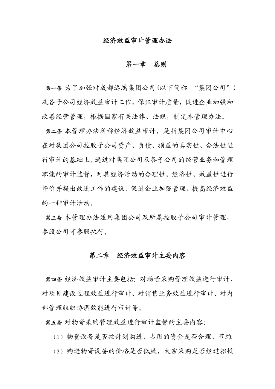 XX集团管控制度与核心流程汇编审计管理经济效益审计管理办法(DOC ).doc_第1页