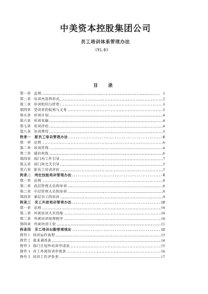 中美资本控股集团公司员工培训体系管理办法.doc