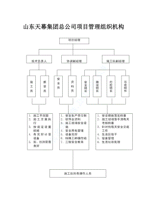 山东天幕集团总公司项目管理组织机构.doc