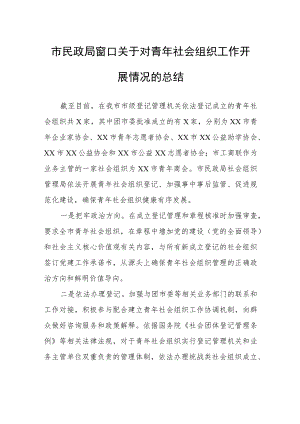 市民政局窗口关于对青年社会组织工作开展情况的总结.docx