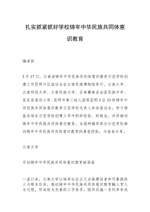 扎实抓紧抓好学校铸牢中华民族共同体意识教育.docx