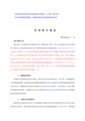 软件企业审或认定专项审计技术文档()之软件企业认定专项审计报告模板().doc