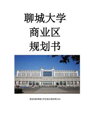 大学 商业区规划书.doc