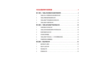 马鞍山项目前期策划.doc