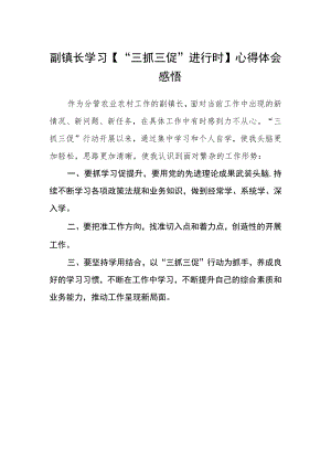 副镇长学习【“三抓三促”进行时】心得体会感悟范文.docx