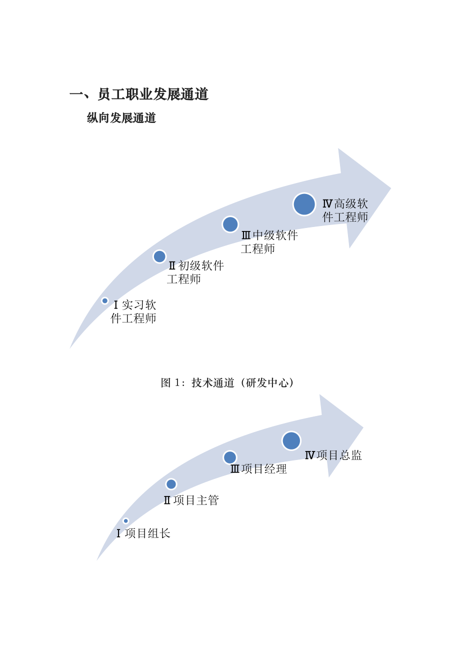 员工职业发展规划与岗位层级设计方案.docx_第1页