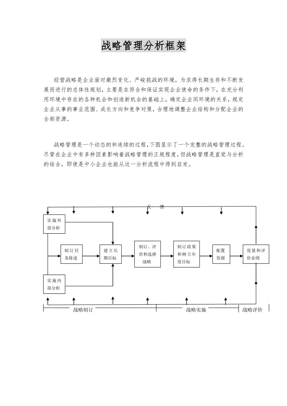 战略管理分析框架.doc_第1页