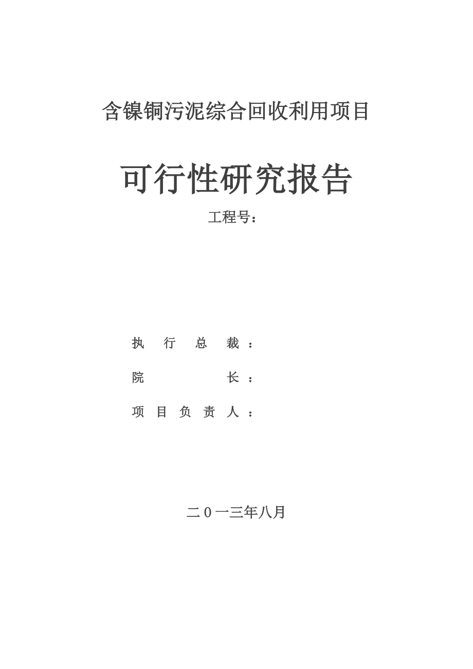 含镍钴铜锌污泥综合回收项目可行性研究报告.doc_第1页