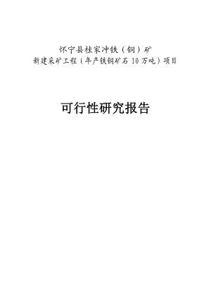 年产铁铜矿石10万吨项目可行性研究报告.doc