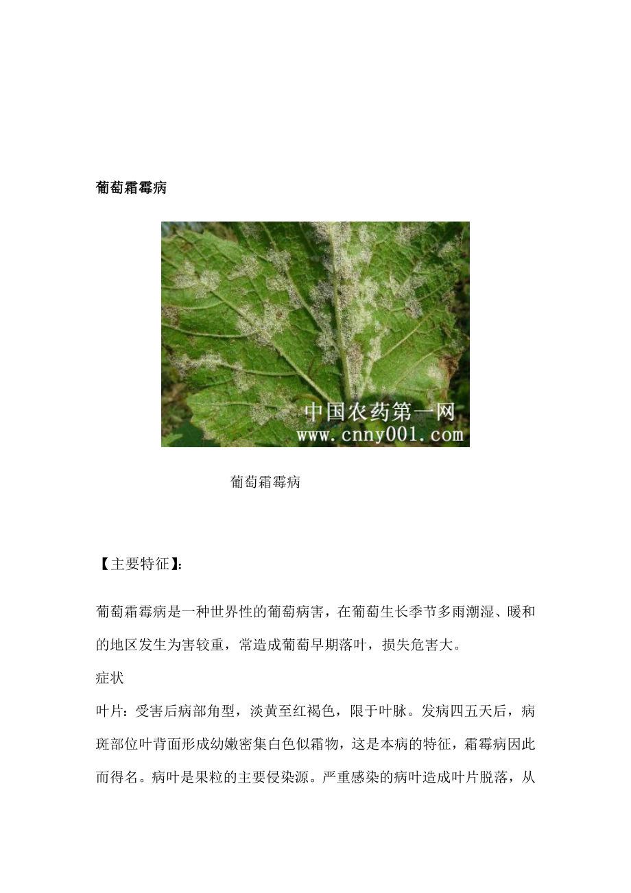 [精品]葡萄病虫害防治.doc_第1页