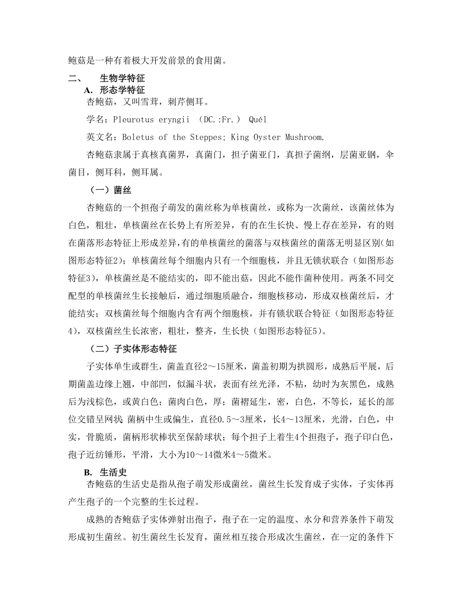 杏鲍菇栽培技术讲座.doc_第3页