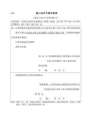 防洪抢险应急预案.doc