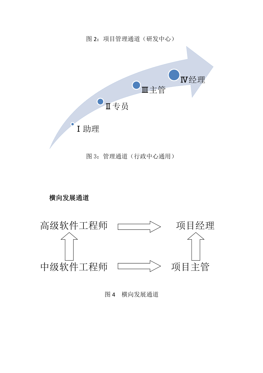 员工职业发展规划及岗位层级设计方案.docx_第2页