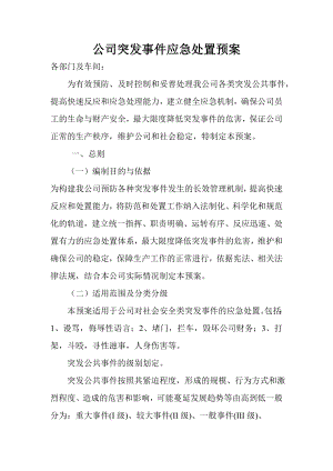 公司突发事件应急处置预案.doc