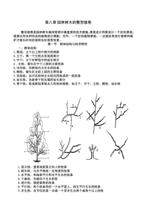 [农学]树木栽培学教案第8章整型修剪.doc