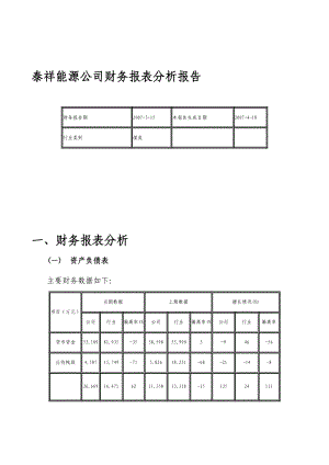 泰祥能源公司财务报表分析报告.doc