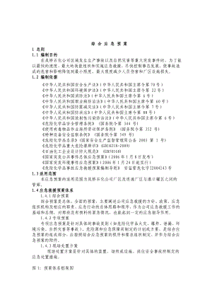 岚桥石化公司安全环保应急预案.doc