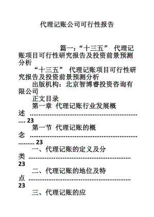 代理记账公司可行性报告.doc