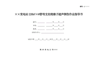 支柱瓷瓶探伤试验作业指导书.doc