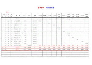 多栏式明细账的样本(管理费用等).doc