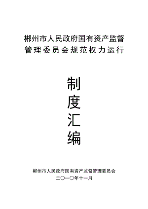 郴州市人民政府国有资产监督管理委员会规范权力运行.doc