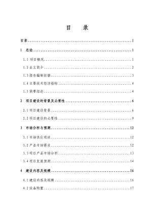 产300万升纳米机动车尾气三效催化剂产业化项目可行性研究报告.doc