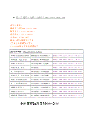 试谈小麦胚芽油项目创业计划书(doc 34页).doc