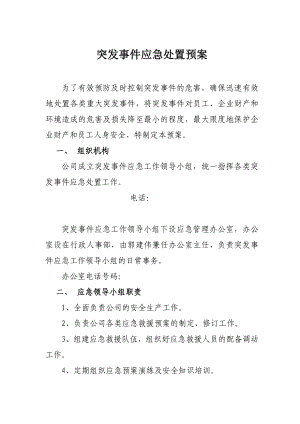 公司突发事件应急处置预案 .doc