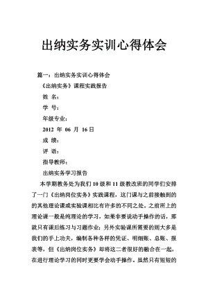 出纳实务实训心得体会.doc