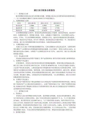 浙江东日财务分析报告.doc