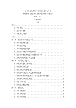 蓝风机构宁南8号地块项目可行性研究分析报告0205.doc