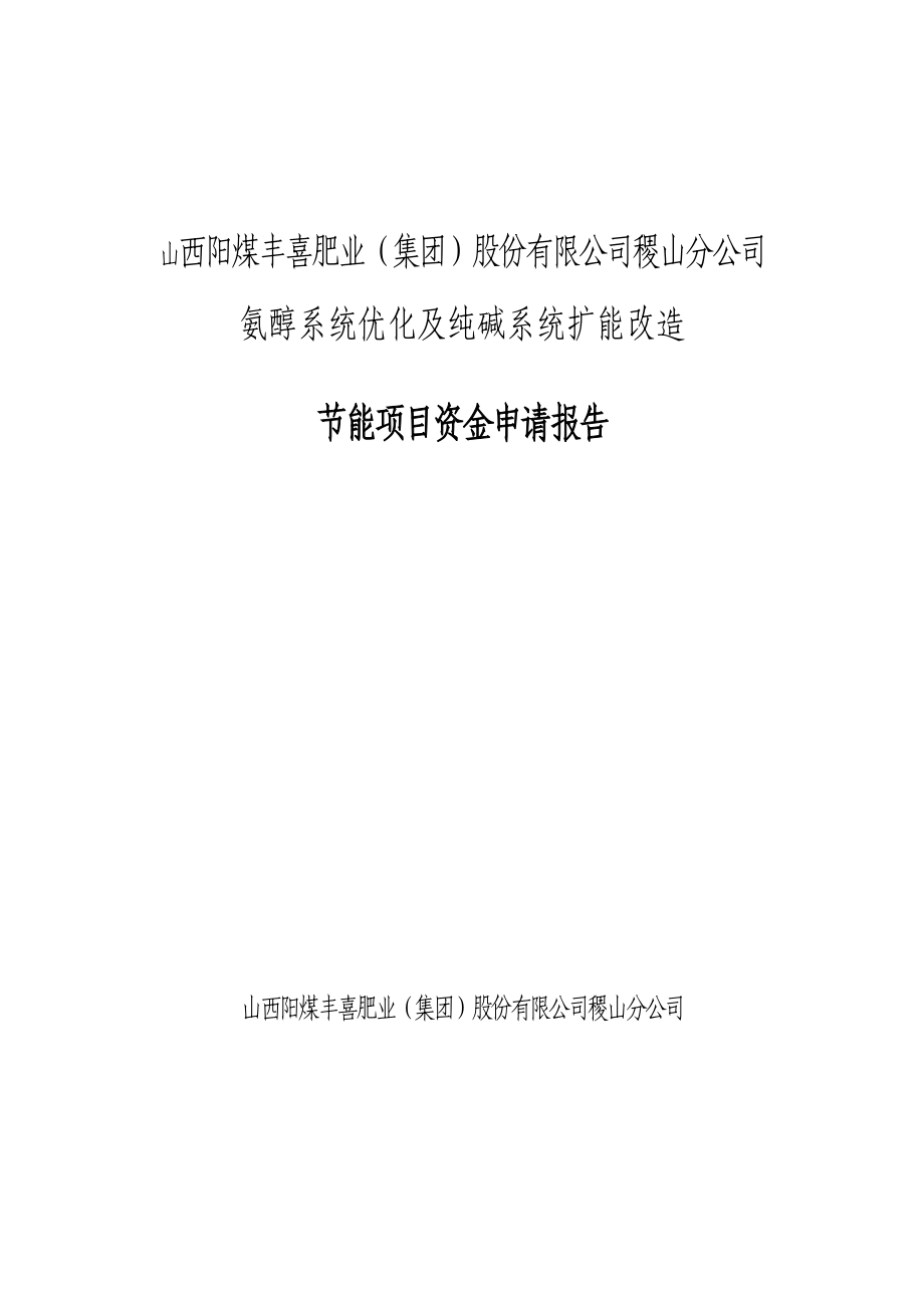 氨醇系统优化及纯碱系统扩能改造节能资金项目申请报告.doc_第1页