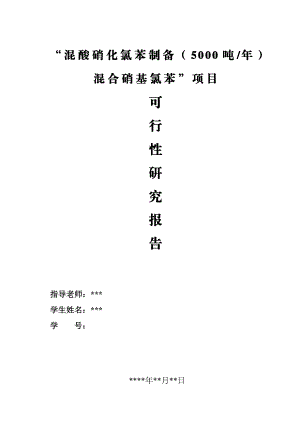 混酸硝化氯苯制备(5000吨)混合硝基氯苯项目可行性研究报告19343.doc