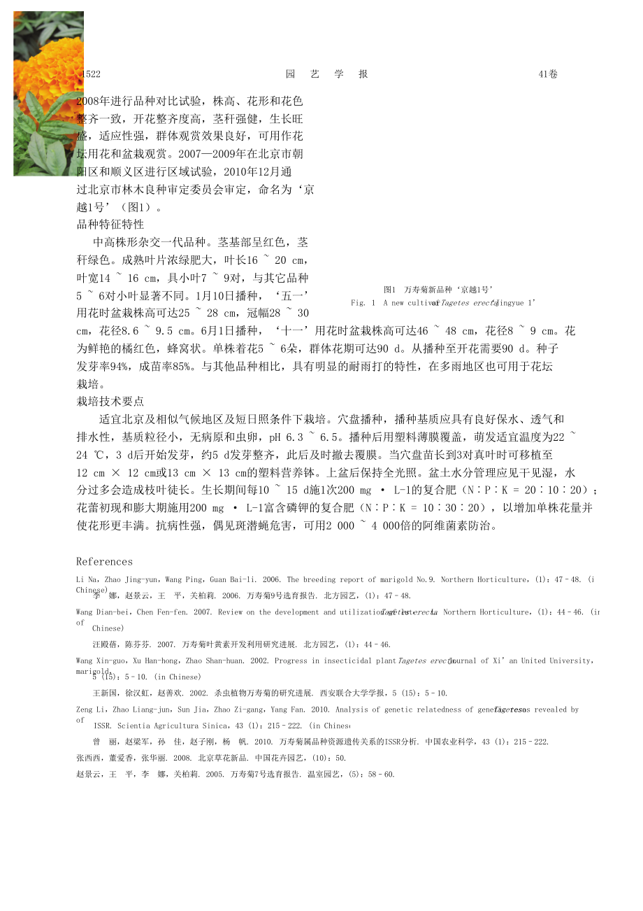 万寿菊新品种京越1号.doc_第2页