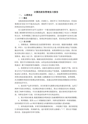 计算机财务管理实习报告.doc