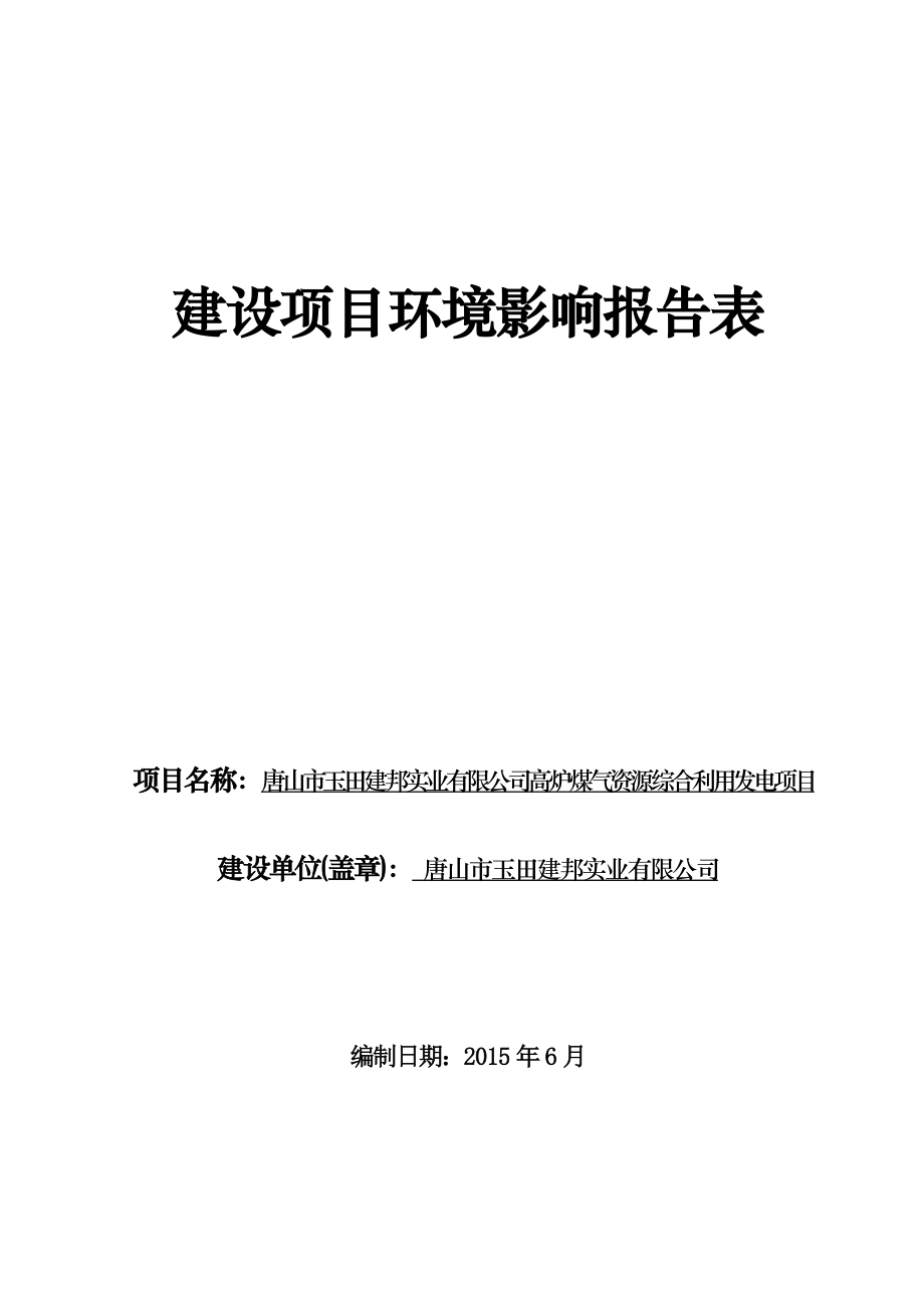 高炉煤气资源综合利用发电项目.doc_第1页