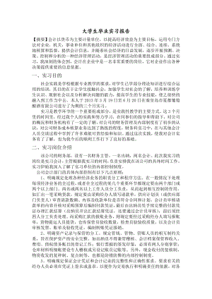 大学生毕业实习报告财会类(alin).doc