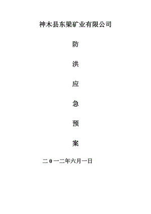 煤矿防洪抢险应急预案.doc