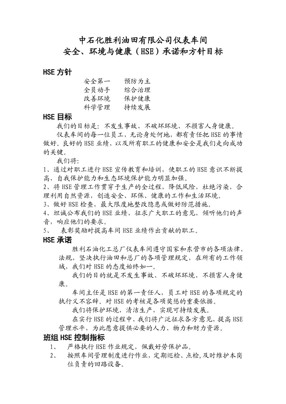 仪表车间HSE作业指导书.doc_第3页