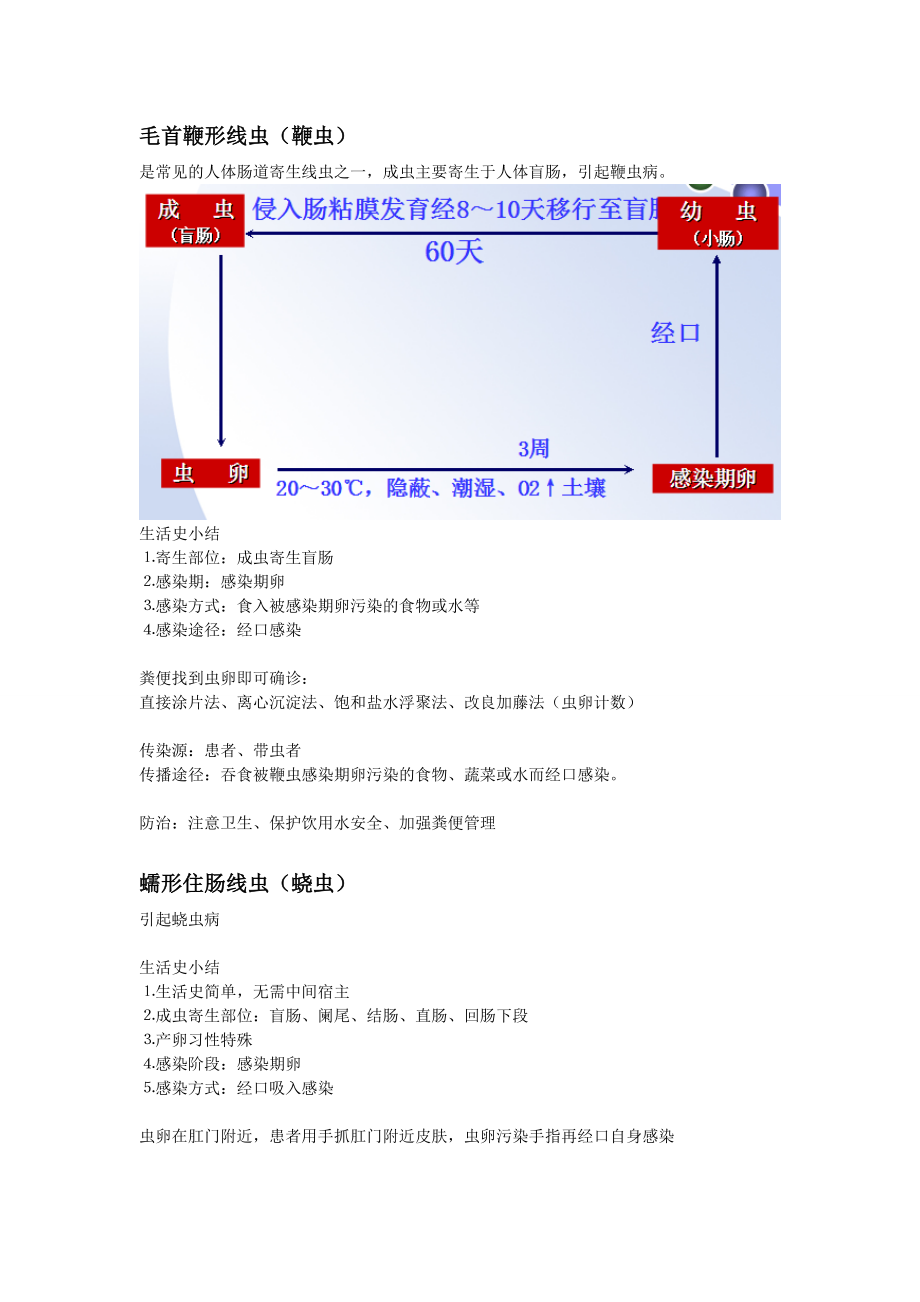 寄生虫复习重点要点.doc_第3页