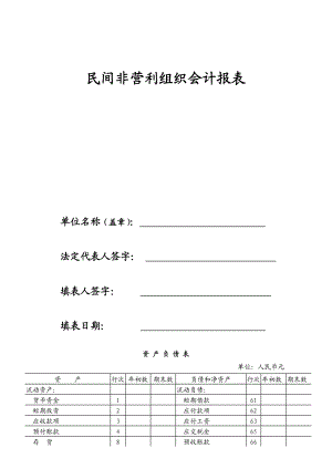 民间非营利组织会计报表.doc