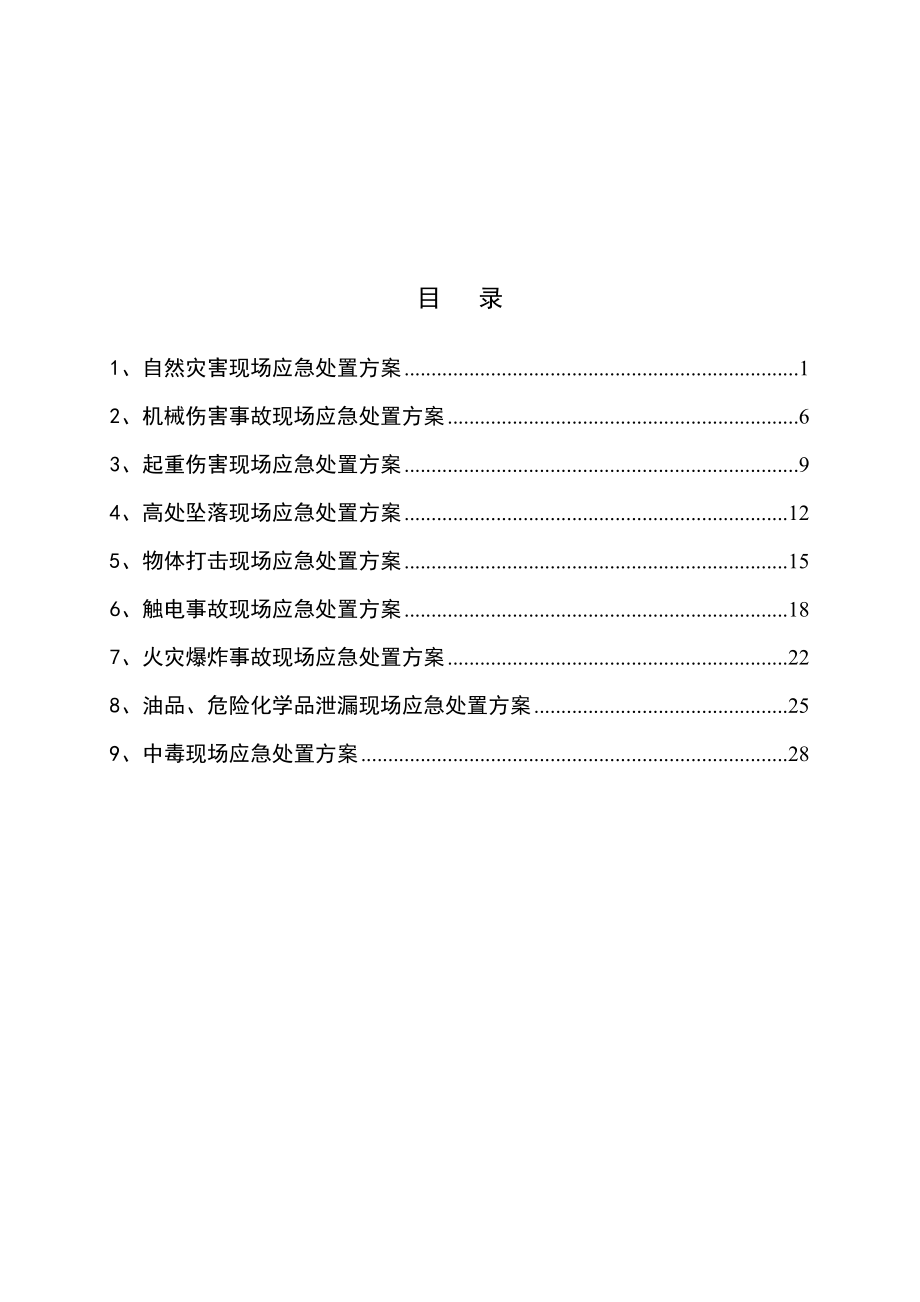 选矿厂现场应急处置方案(安全标准化).doc_第1页