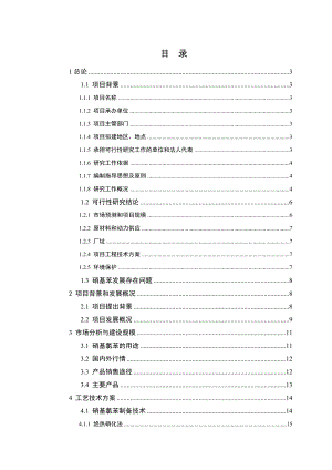 混酸硝化氯苯制备(5000吨)混合硝基氯苯项目可行性研究报告.doc