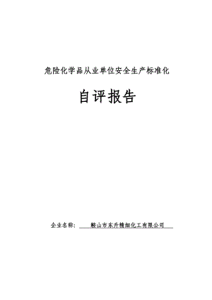 危险化学品从业单位安全生产标准化自评报告.doc