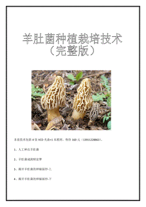 羊肚菌种植栽培技术(完整版)资料.doc