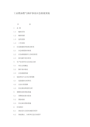 工业燃油燃气锅炉事故应急救援预案.doc