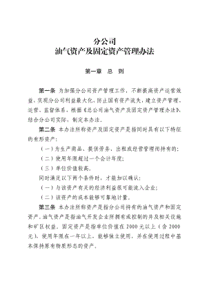 分公司资产及固定资产管理办法.doc