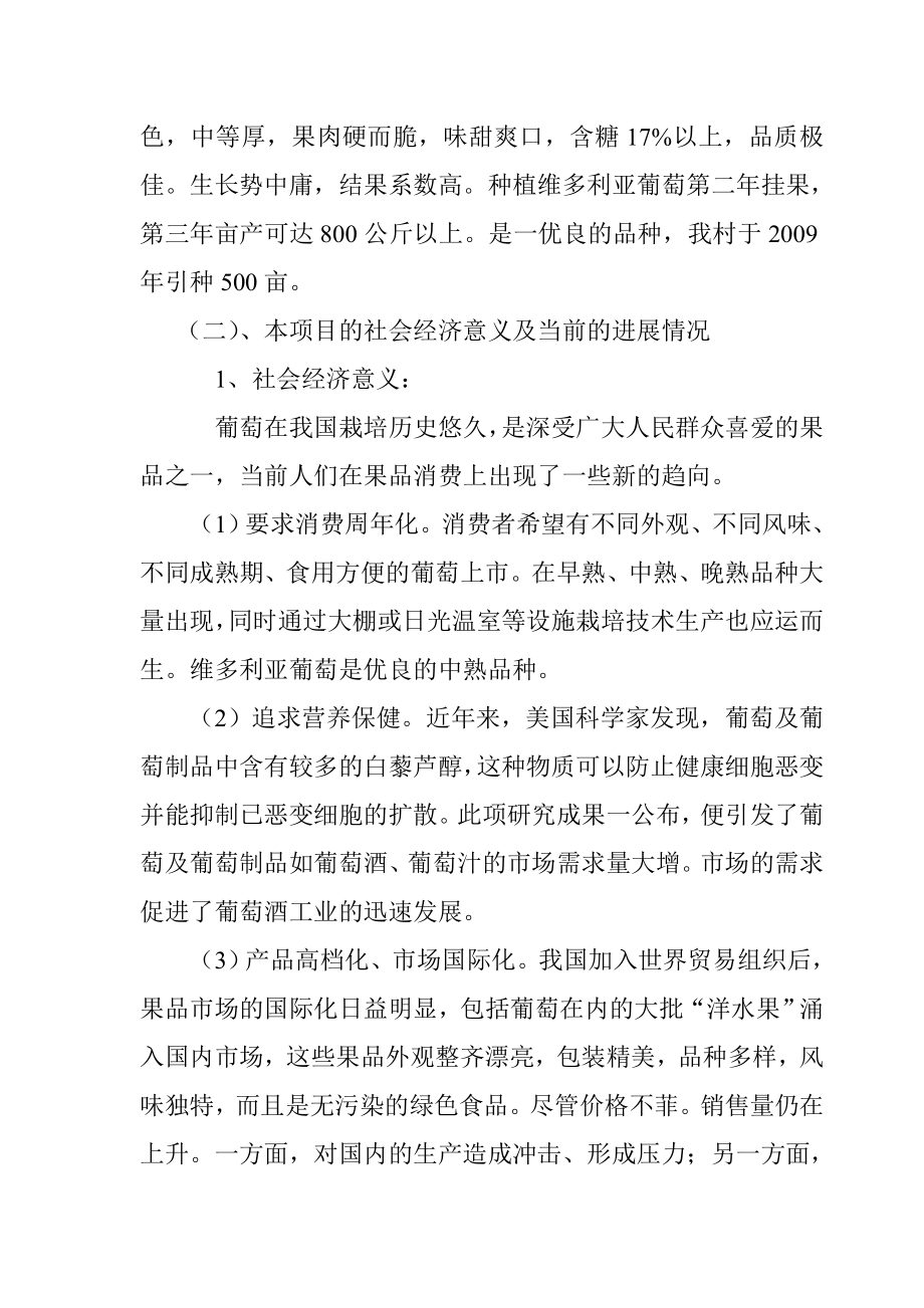 维多利亚葡萄良种标准化示范栽培可行性研究报告.doc_第3页