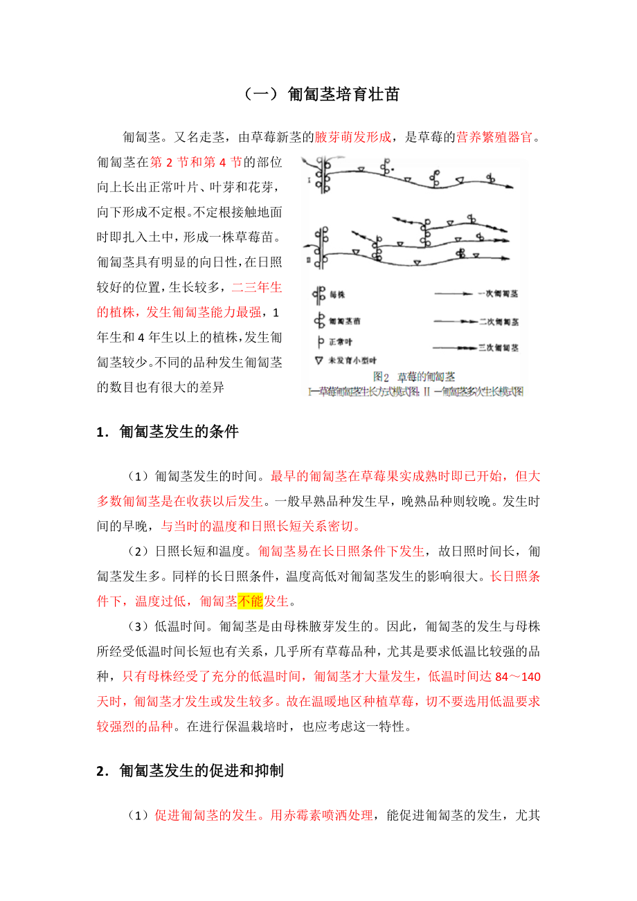 草莓全栽培技术要点及设施要求03.doc_第3页