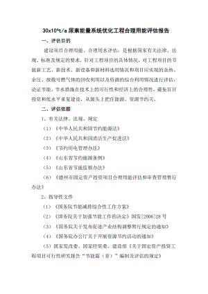 山东中农润田化工有限公司30万t尿素工程节能评估报告书.doc